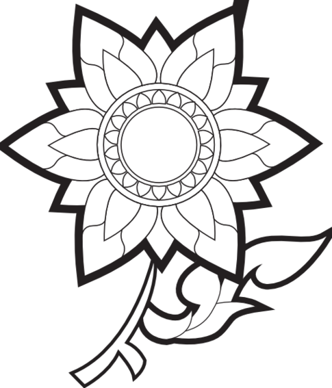 Sunflower Black And White Sunflower Clipart Black And - Flower Drawings (485x567), Png Download