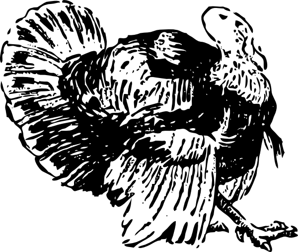 How To Set Use Turkey Clipart (600x507), Png Download