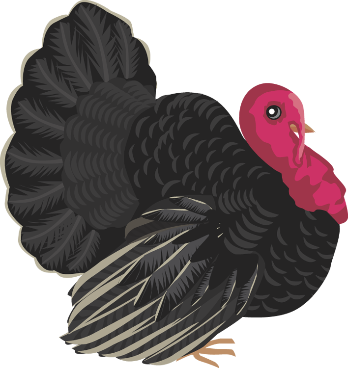 Clipart Turkey Wild Turkey - Black Turkey Clipart (708x750), Png Download