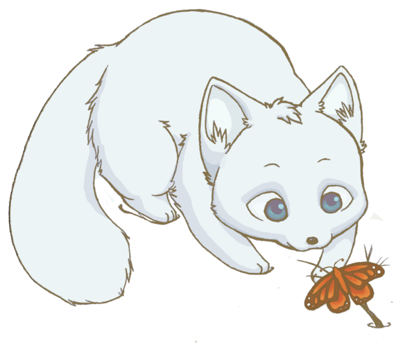 Arctic Fox Clipart Adorable - Cute Arctic Fox Drawing (600x502), Png Download