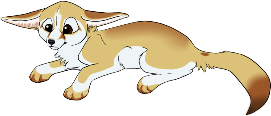 Fennec Fox Clipart Cartoon Pencil And In Color Fennec - Fennec Fox Furry Drawing (900x391), Png Download
