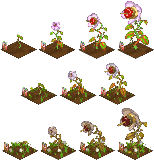 Gardening Webkinz Insider Wiki Imagecaramel Growing - Growing Pumpkins (604x631), Png Download