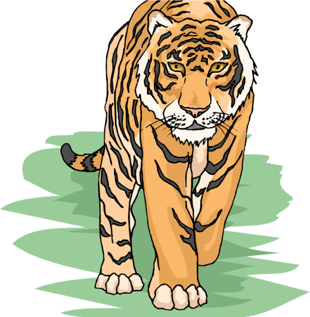 Free Tiger Clipart Snowflake Clipart Hatenylo - Tiger Clipart Png (1024x1024), Png Download