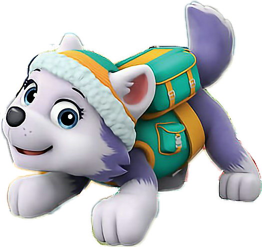 everest teddy paw patrol