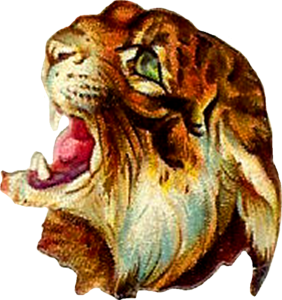 Tiger Digital Clip Art - Tiger Vintage Illustration (1136x1243), Png Download