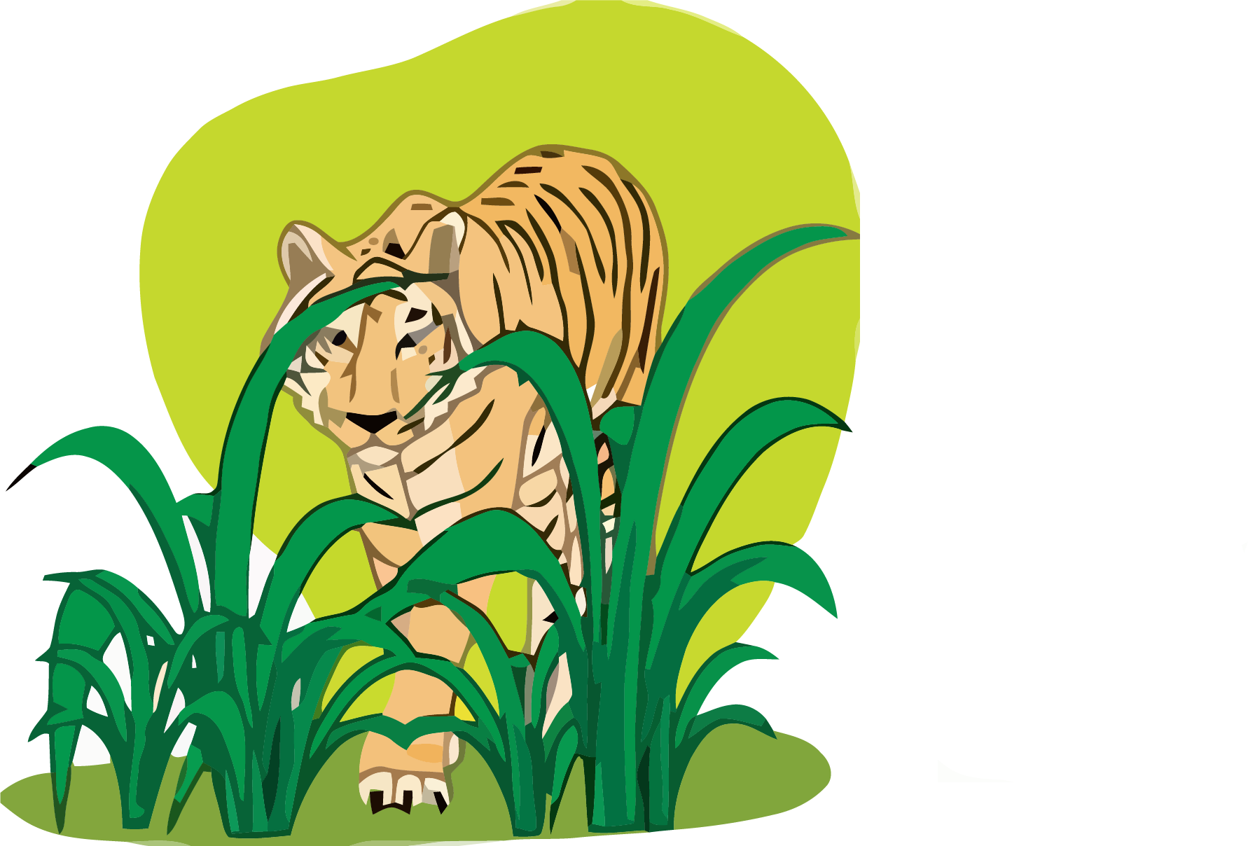 Tiger Clipart Png - Clip Art (1782x1208), Png Download