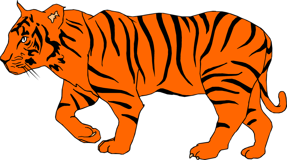 Illustration Of A Tiger (958x533), Png Download