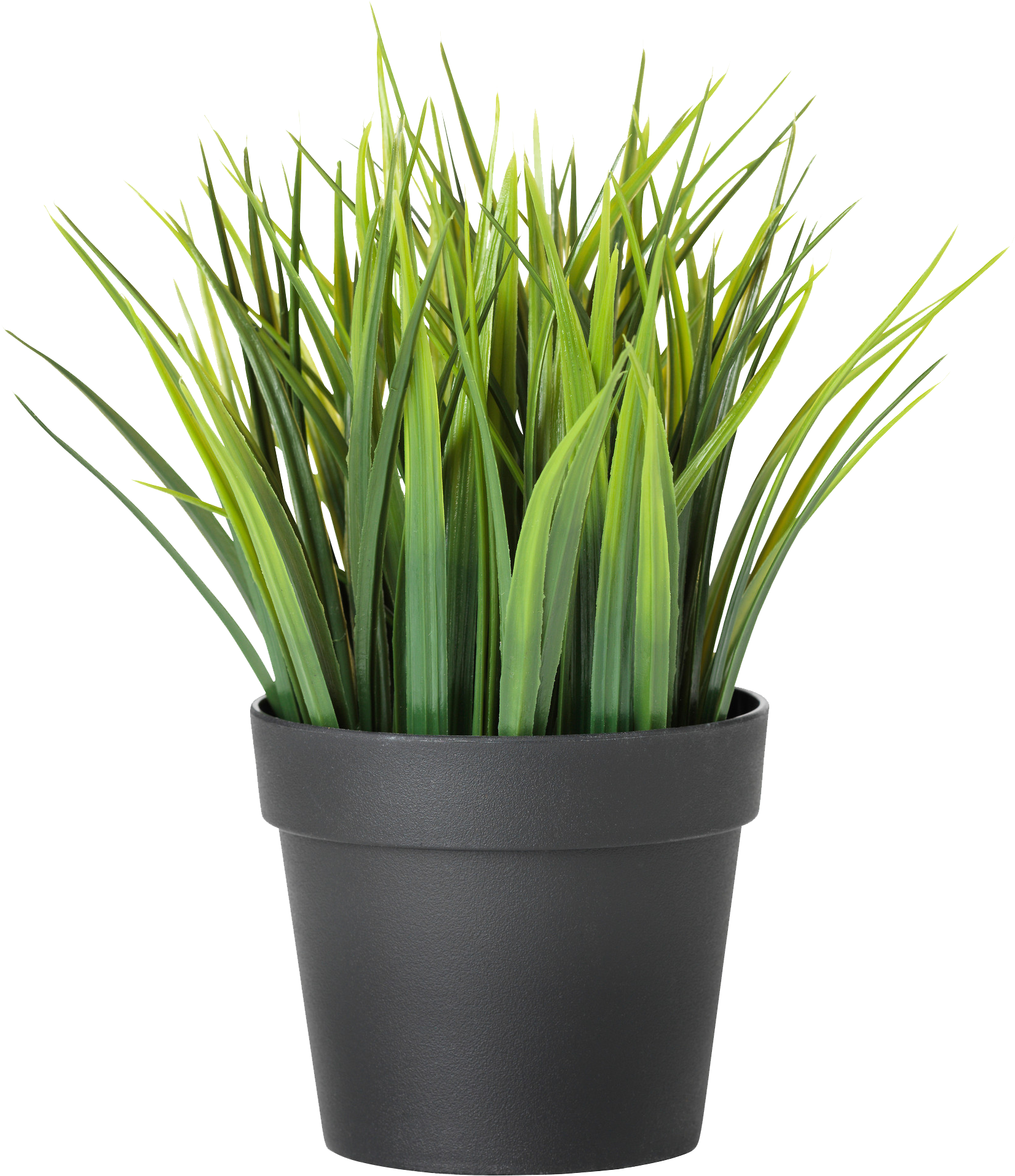 Download Potted Plants Clipart Transparent Background - Ikea Plant PNG  Image with No Background 