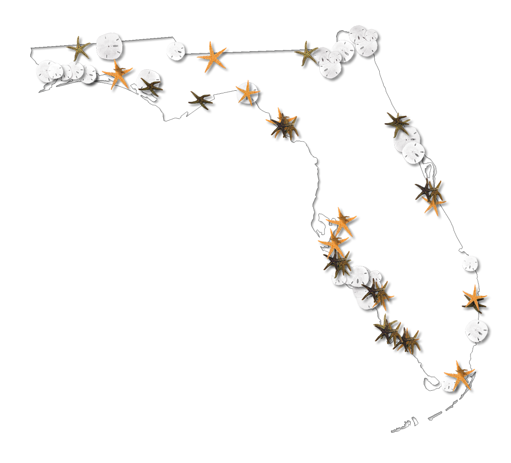 Dollar Clip Art Outline Great With Elegant - Florida Could You Find Sand Dollars Map (1024x928), Png Download