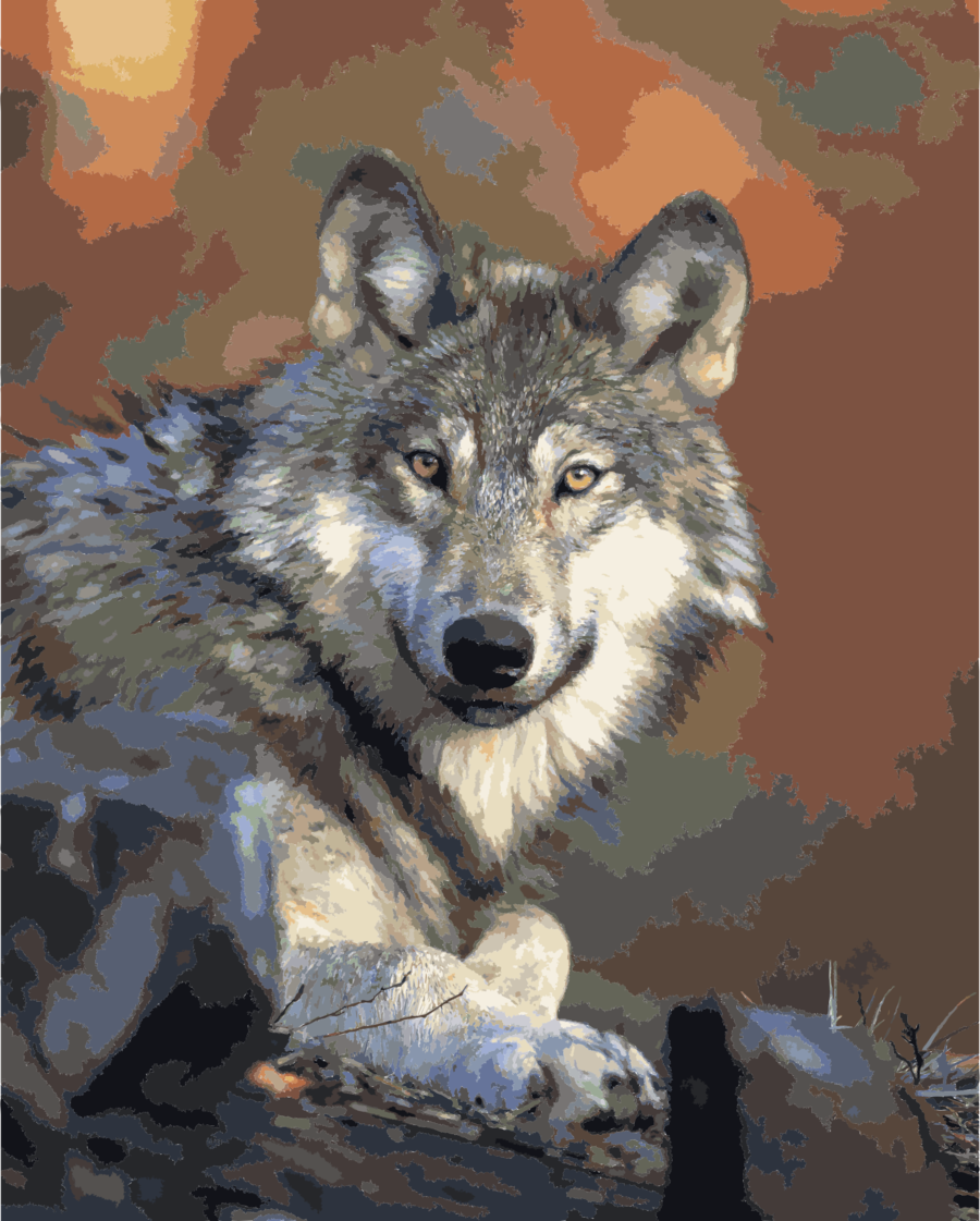 6 Year Old Wolf Clipart Irish Wolfhound Pack Wolf Reintroduction - Eastern Gray Wolf (900x1121), Png Download