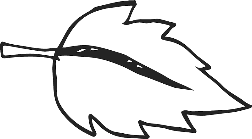 Birch Leaf Outline Rubber Stamp - Leaf (800x800), Png Download