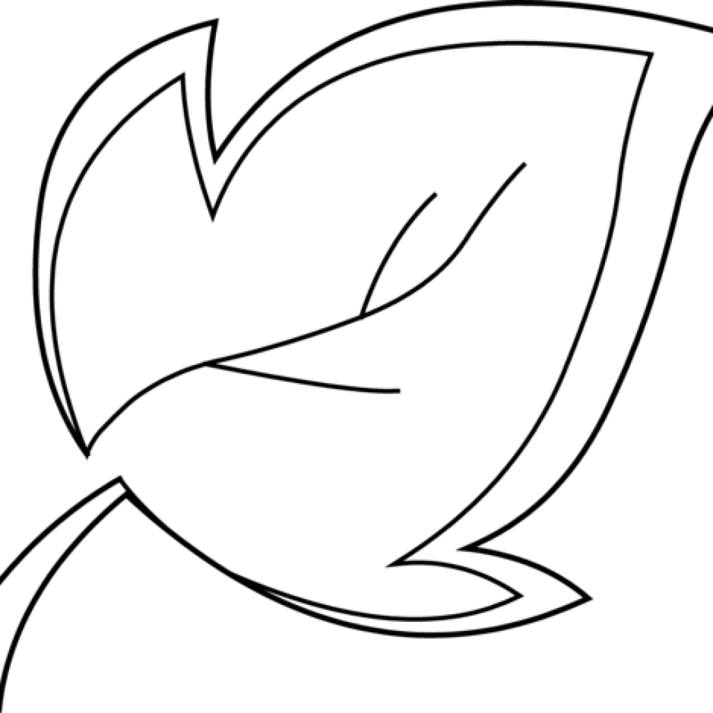 19 Clipart Leaf Outline Huge Freebie For Powerpoint - Clip Art (1024x1024), Png Download