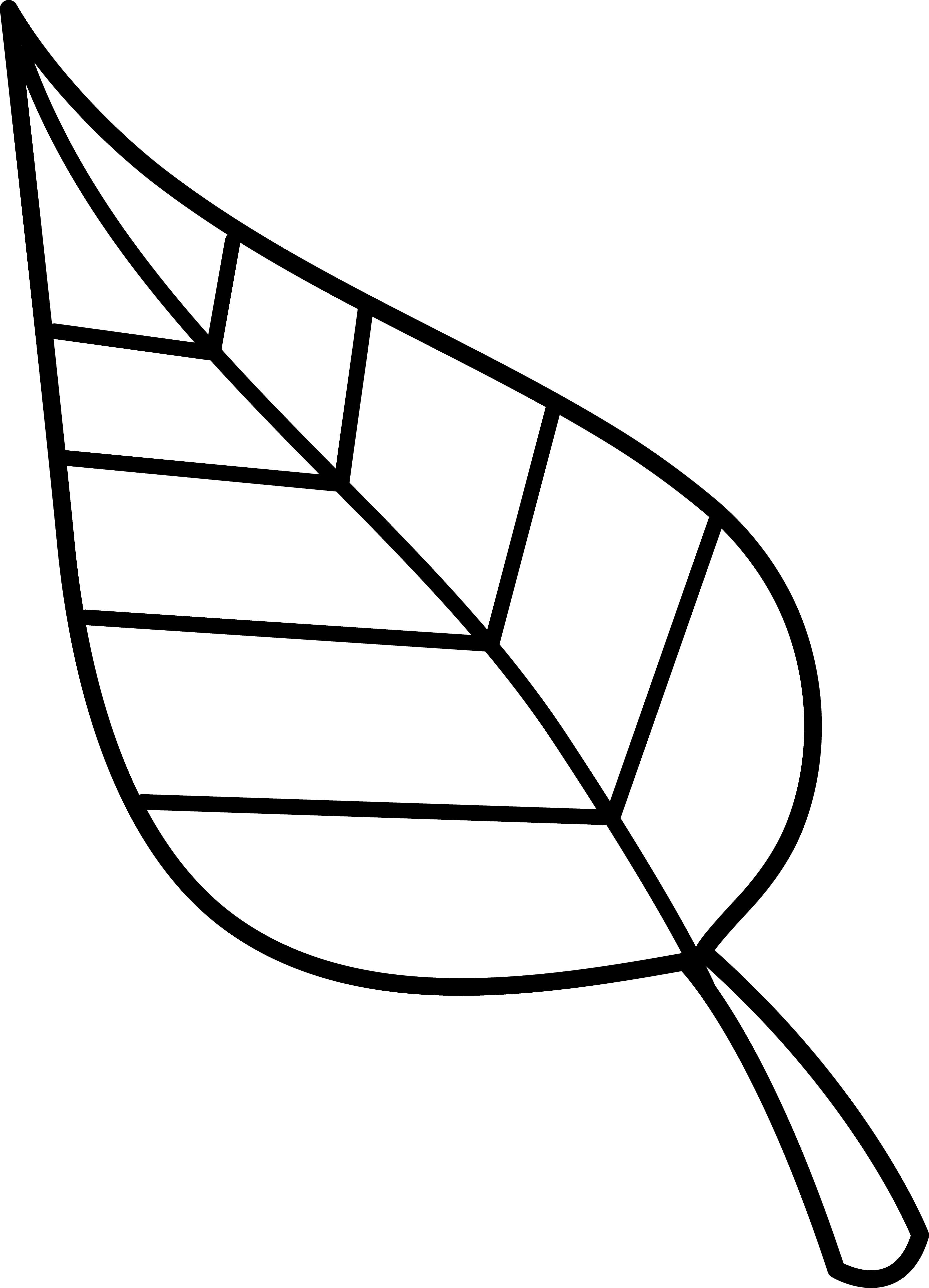 Use These Free Images For Your Websites Art Projects - Clip Art (3734x5176), Png Download