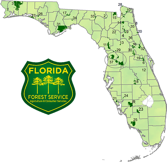 National Forest Map Florida (546x531), Png Download