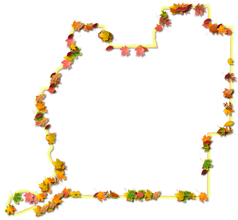 A Yellow And Orange Outline Map Of Washington With - Floral Design (768x711), Png Download