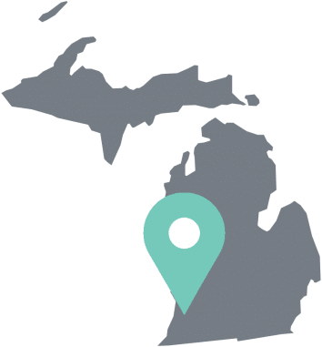 Michigan State Outline - Michigan Counties 2016 Election (520x435), Png Download