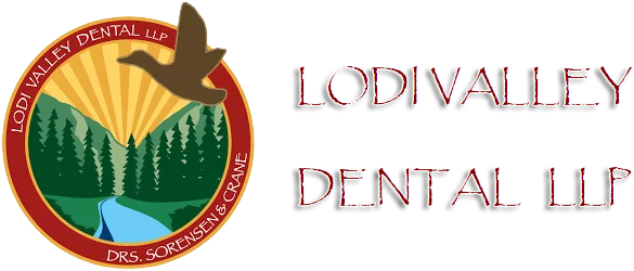 Lodi Valley Dental (620x255), Png Download