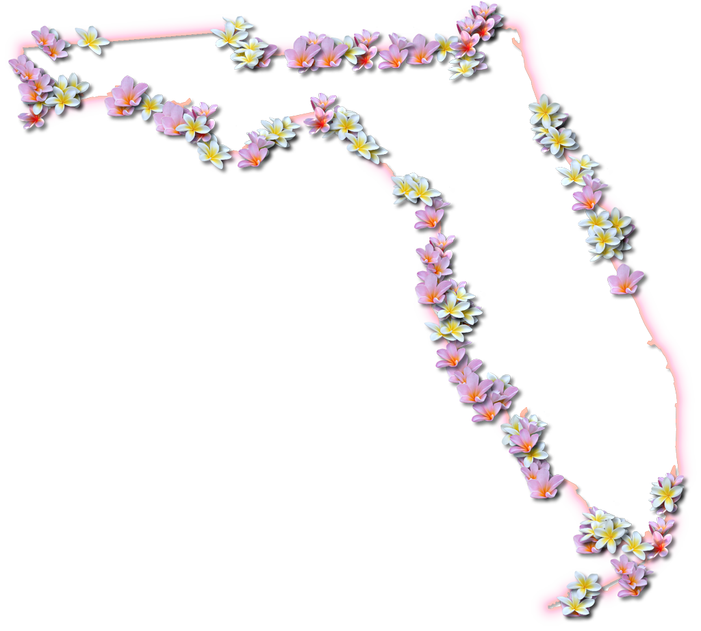 Florida - Florida Map With Flowers (1024x922), Png Download