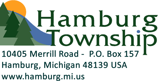 Michigan Usa - Hamburg Township Logo (552x284), Png Download