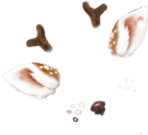 Png-trash Snow Deer Filter💛 Requested By @lushoshi - Portable Network Graphics (421x750), Png Download