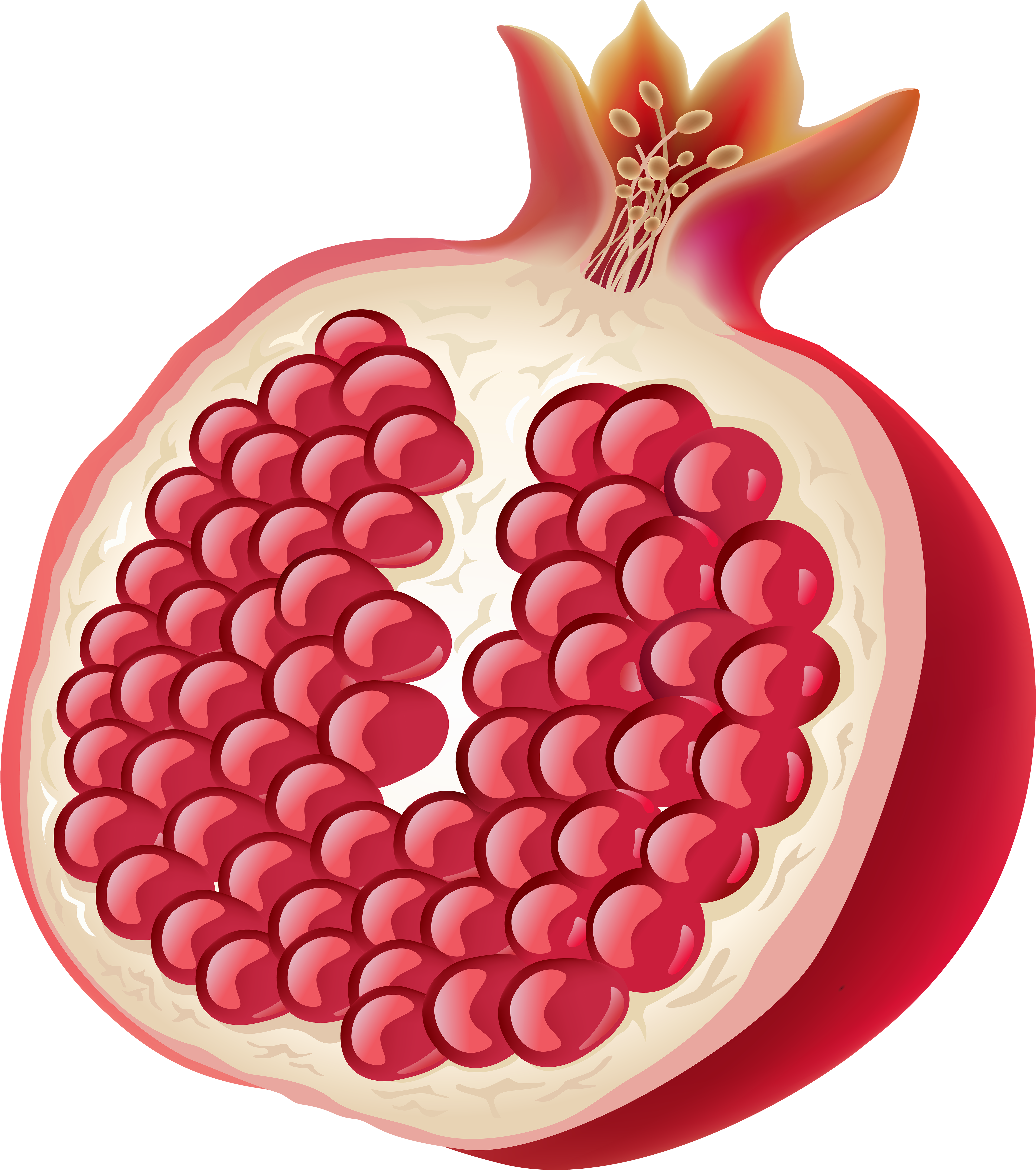 Pomegranate Clipart Half Cute Borders (5309x6000), Png Download