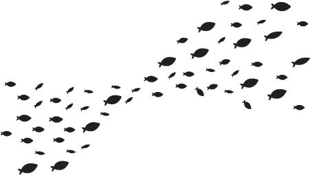 School Fish Png - School Of Fish Png (480x269), Png Download