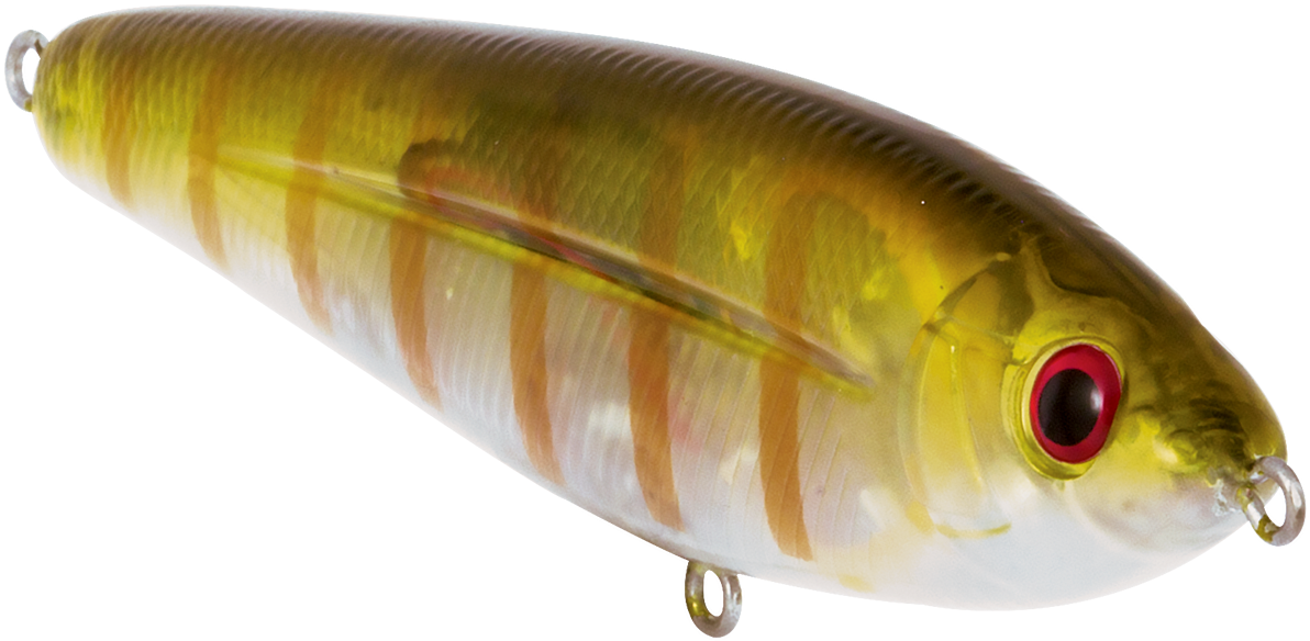 School Master - School (1200x900), Png Download