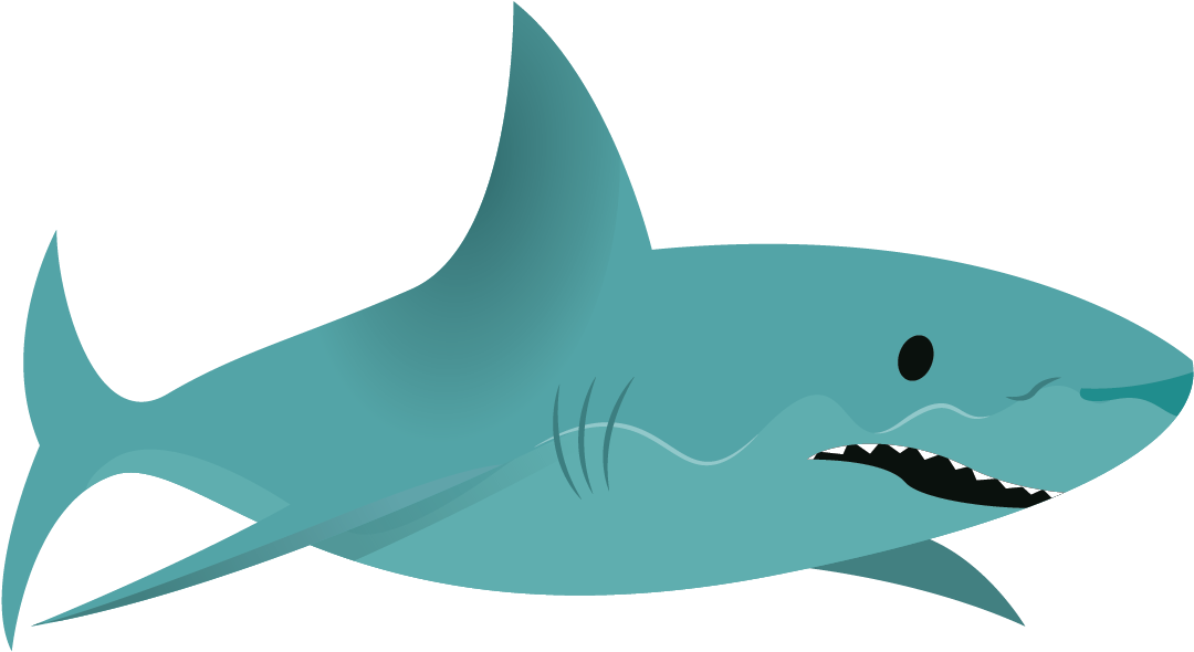 Shark - Squaliformes (1113x764), Png Download