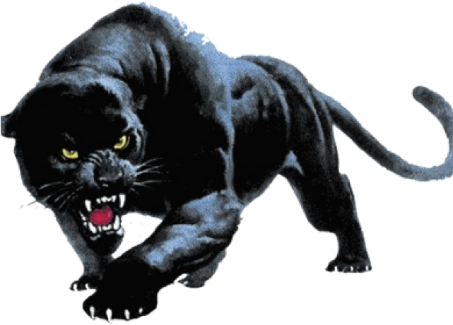 Black Panther Png Transparent Images - Devon Meadows Football Club (640x480), Png Download