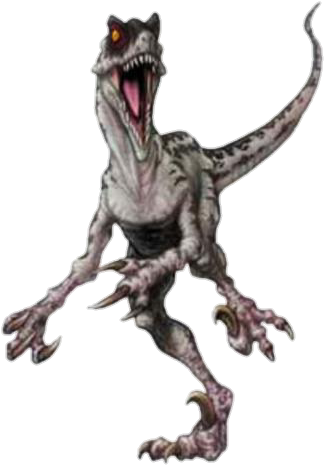 Velociraptor Render By Skodwarde - Jurassic Park Hero Wikia (480x480), Png Download