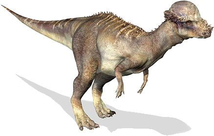 Pachycephalosaurus - Pachycephalosaurus 3d (500x500), Png Download