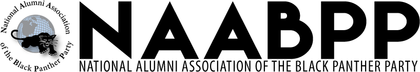 Black Panther Party Logos - Exam Profile Pic For Whatsapp (847x225), Png Download