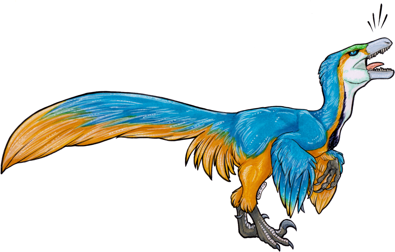 *parrot Noises* For @rotarr Her Lovely Parrot Raptor - Parrot (1280x816), Png Download