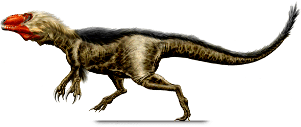 Similar Dinosaur, Appalachiosaurus, Reptile, Eotyrannus, - Dryptosaurus Dinosaur (590x250), Png Download