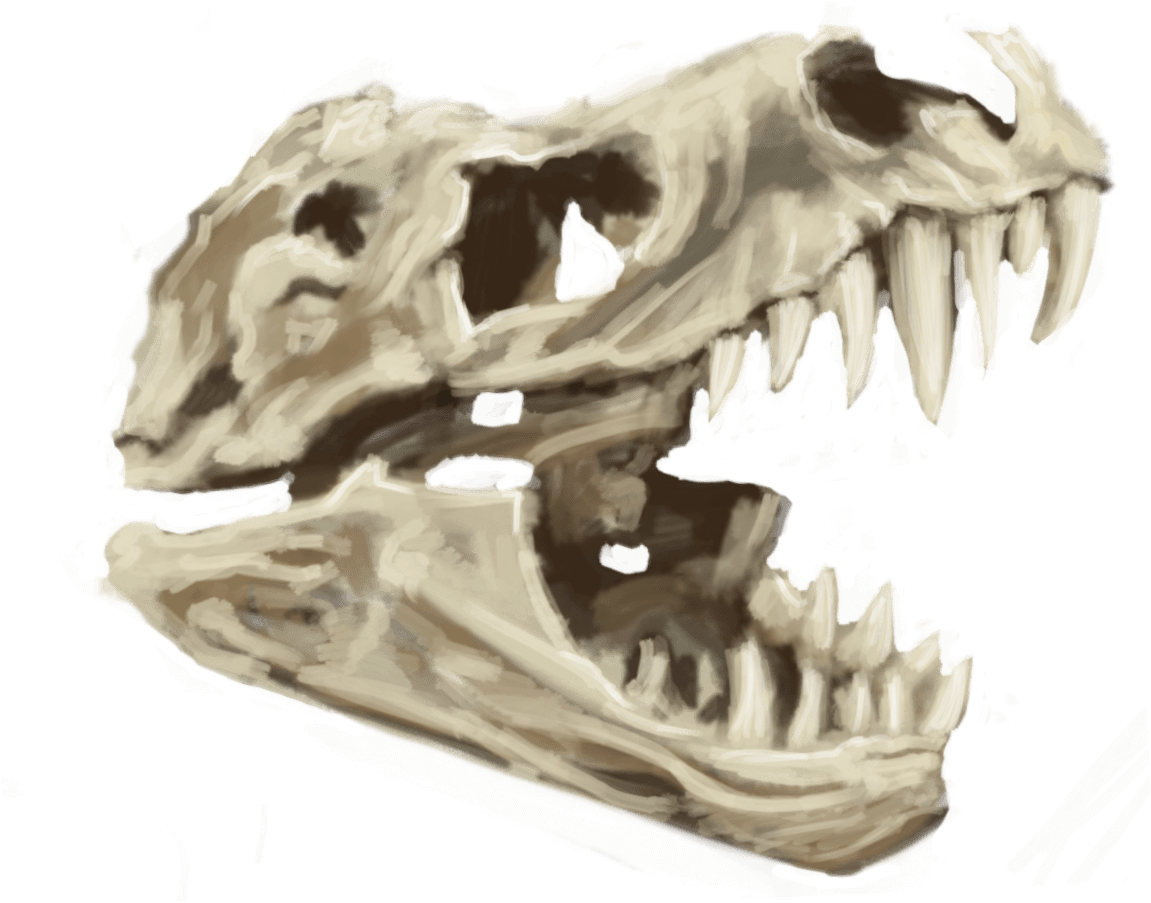 Pledge $100 Or More Per Month - Skull (1356x909), Png Download