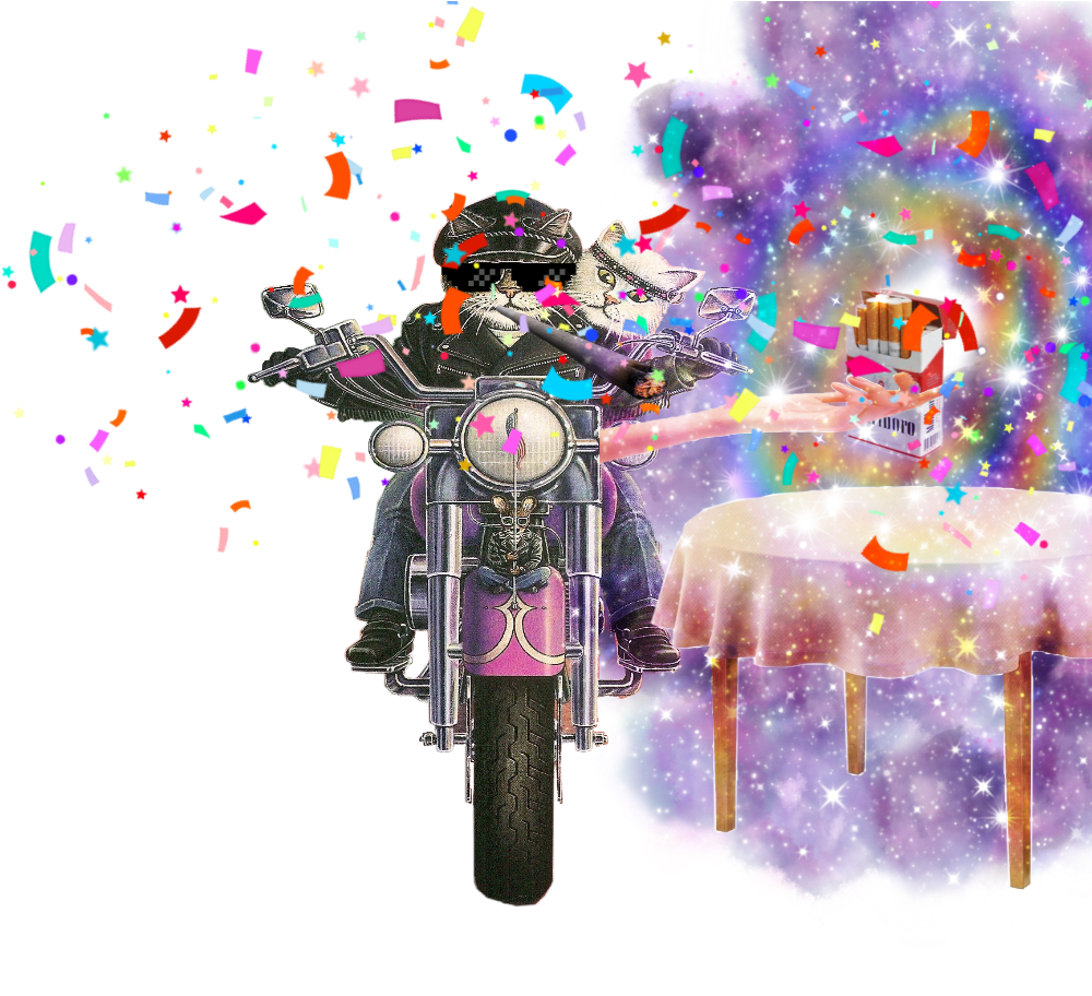 Biker Cat (1024x1024), Png Download
