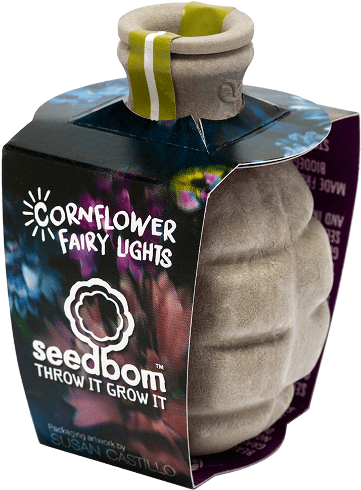 Cornflower Fairy Lights Seedbom - Kabloom Starflower Seedbom (1000x1000), Png Download
