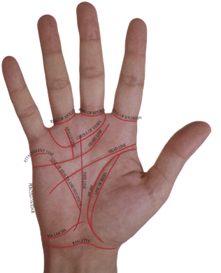 Fate & Destiny - Handbook Of Palmistry [book] (352x412), Png Download