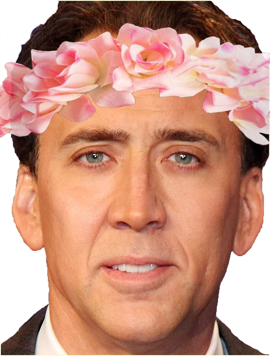 A Transparent Flower Crown Nic Cage Because I Wanted - Nicolas Cage (500x658), Png Download