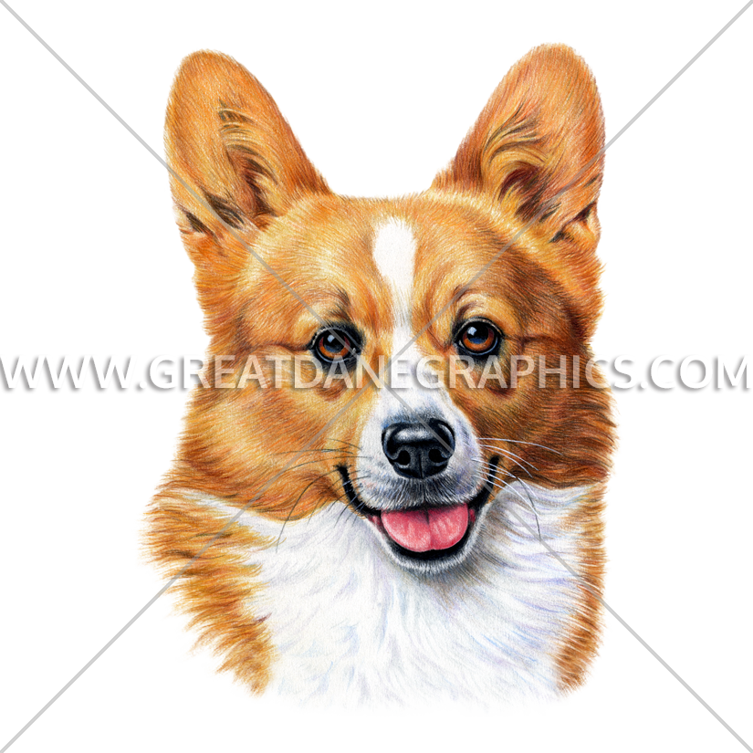 Welsh Corgi - Pembroke Welsh Corgi (825x825), Png Download