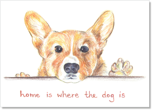 Home Dog Archival Print - Dog (554x428), Png Download
