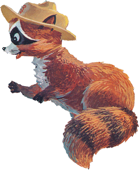 Who Would Have Thought Ranger Rick Would Literally - Punxsutawney Phil (531x650), Png Download