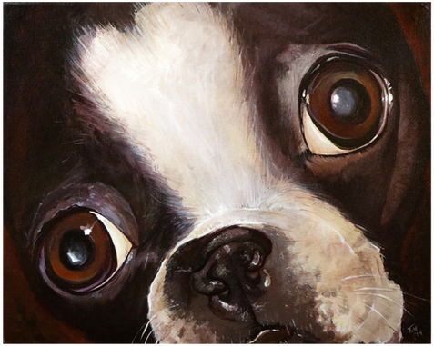 Otis Is A Good Boy - Pug (500x500), Png Download