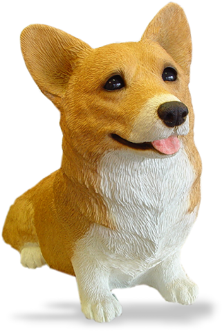 Welsh Corgi, - Dorgi (500x500), Png Download