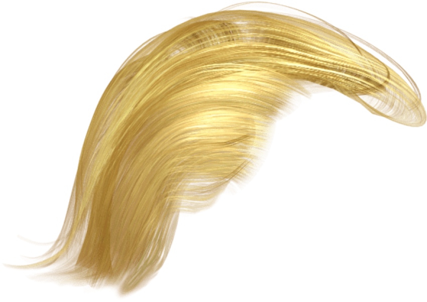 Donald Trump Blonde Hair PNG Images - wide 5