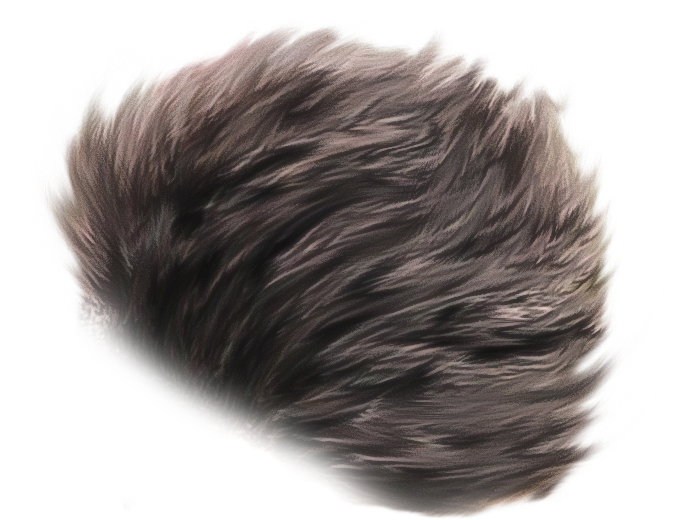 Hairr Png - Lace Wig (727x641), Png Download