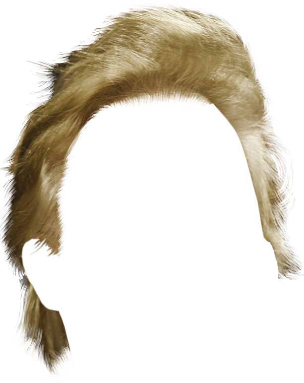 Clip Royalty Free Download S - Trump's Hair (613x772), Png Download