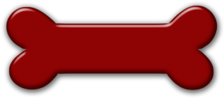 Red dog bone sale