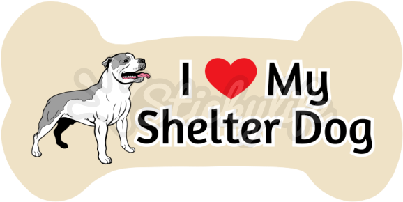 Shelter Dog Car Dog Bone Magnet - Companion Dog (940x587), Png Download