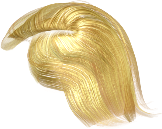 See More Details About The Full 3d Character File Format - Donald Trump 3d Hair Model (600x600), Png Download